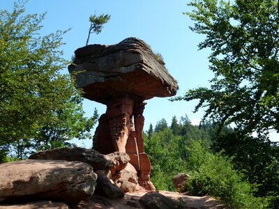 Rock forest germany