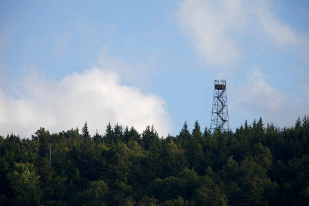 Red spruce restoration scenic-1 photo