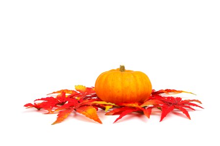 Food fresh halloween