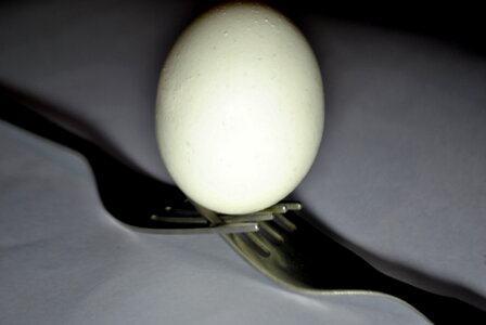 Egg Between Fork photo