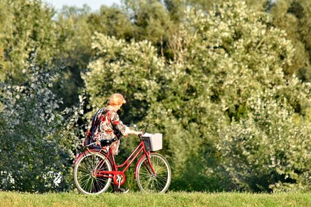 Bicycle enjoyment forest photo