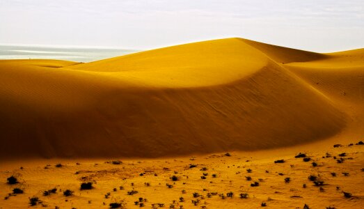 Dune mui ne phan thiet photo