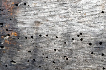 Abstract brown construction