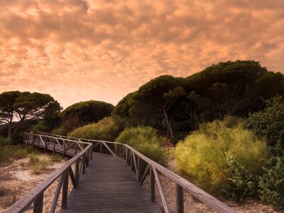 Spain beach coast photo