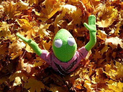 Doll figure autumn
