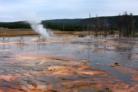 Old Faithful Geyser in Yellowstone National Park photo