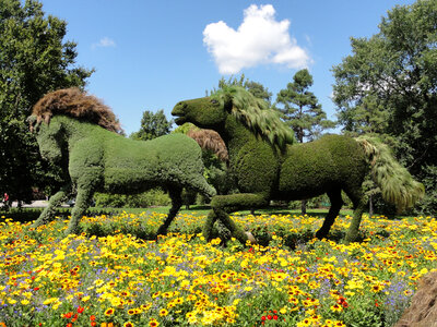 Mosaiculture Montreal Garden in Quebec, Canada photo