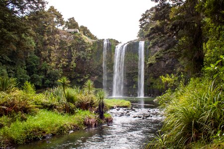 New zealand waterfall whangarei photo