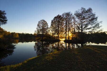 Abies dawn dusk photo