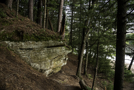 Rock, Trees and forest in Wisconsin Dells photo