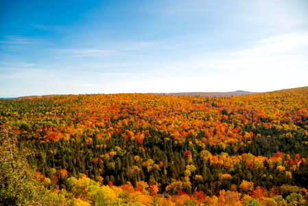 Colorful treetops landscape in the Autumn in Copper Harbor photo