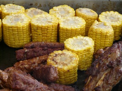 Grill grilling meat