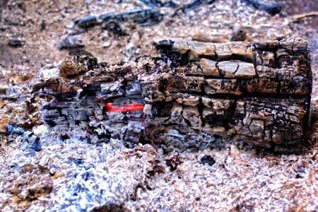Hot wood campfire