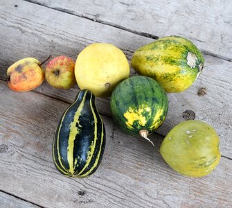 Fruit autumn apple photo