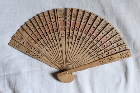 Hand Fan Chinese Japanese