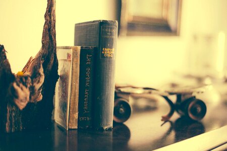 Antique book books