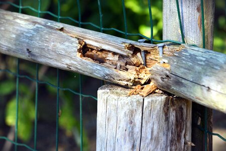 Fence metal nail photo