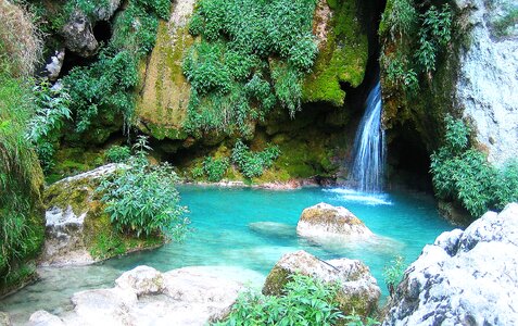 Dreams water green