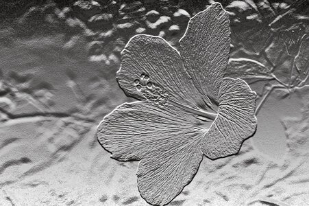 Relief flower plant