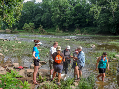 Students examine freshwater mussels on shore