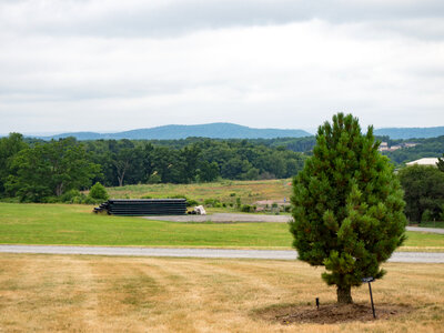 Landscape with Tree and Mountains photo