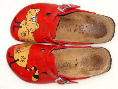 Red colorful shoe