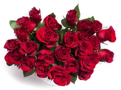 Red bouquet flowers