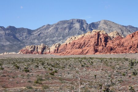 National park mojave desert landscape photo
