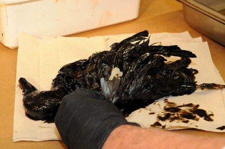 Ashland Forensics Lab-1