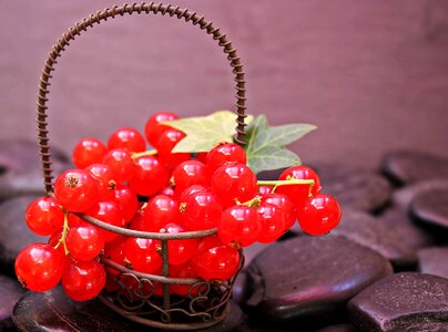 Biscuit calorie currant