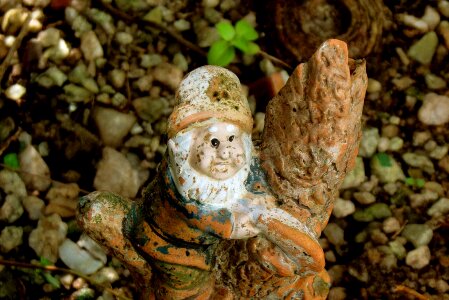 Garden dwarf gnome