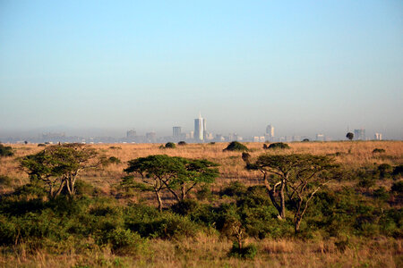 Game Preserve with Nairobi in the Background photo