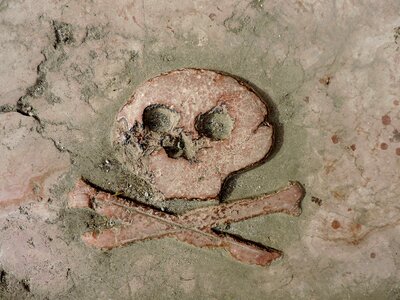 Bones marble skull