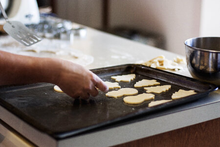 Gingerbread Cookies Preparation photo
