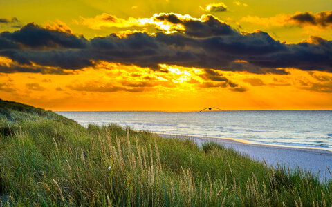 Orange sunset over the water photo