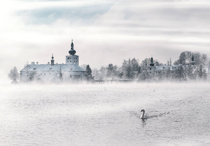 Winter Fog Landscape with Swan, Gmunden Austria photo