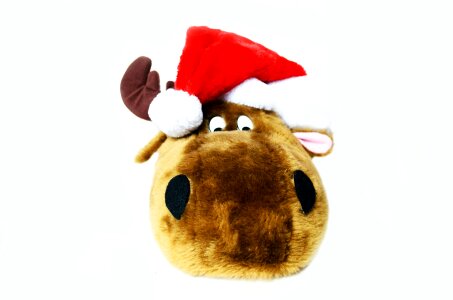 Toy greeting cards