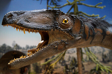 Dinosaur Head opening mouth photo