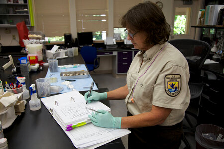 Scientist at Lower Columbia River Fish Health Center-3 photo