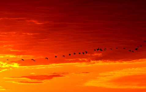 Quivira National Wildlife Refuge sunrise