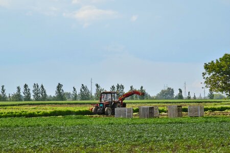 Farmland tractor harvester photo