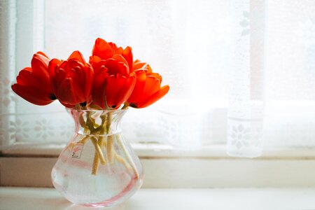 Red Bunch Vase photo