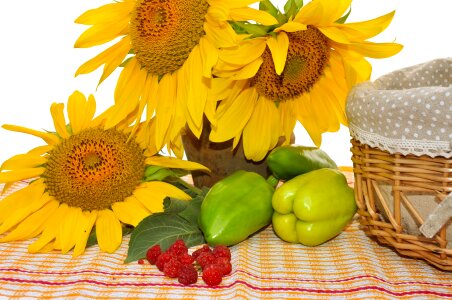 Still Life With Sunflowers