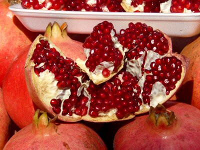 Seeds fruit punica granatum