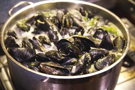 Seafood mussels hot photo