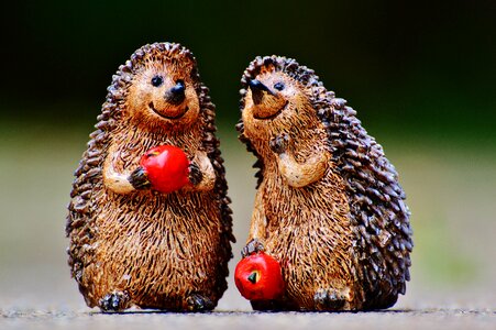 Cute sweet pair