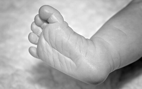 Feet newborn cute