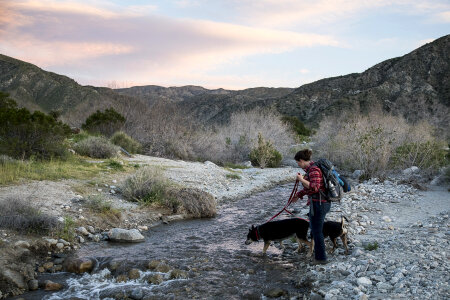 Man and Dog Crossing Stream on the Pacific Crest Trail photo