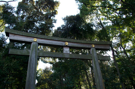 26 Meiji Shrine