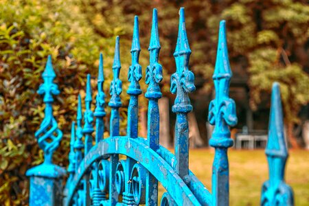 Antique fence front door photo